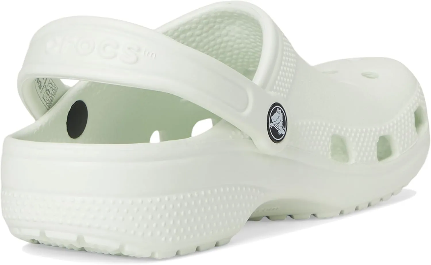 Crocs Unisex-Child Classic Clog (Little Big Kid)